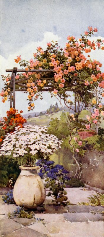 Roses, Santa Luzia (colour litho) de Ella Du Cane