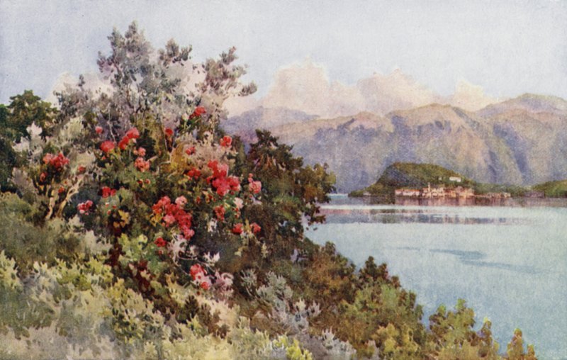 Rosas, Villa Carlotta, Lago Como (cor litho) de Ella Du Cane