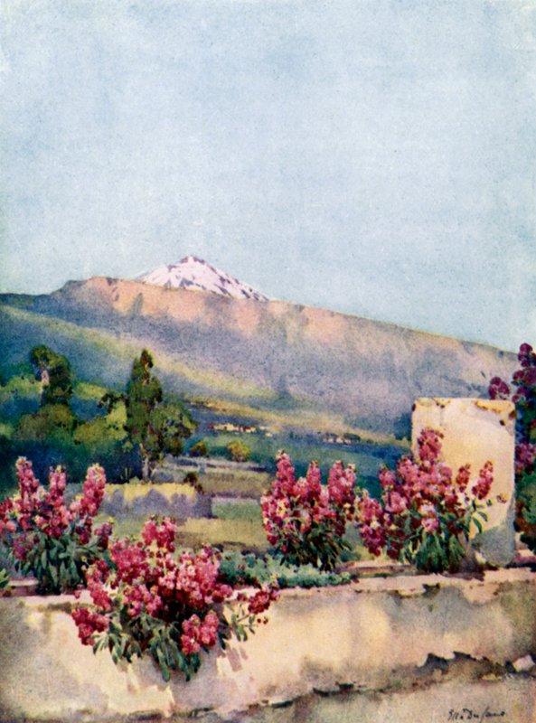O Pico, da Villa Orotava (lito a cores) de Ella Du Cane