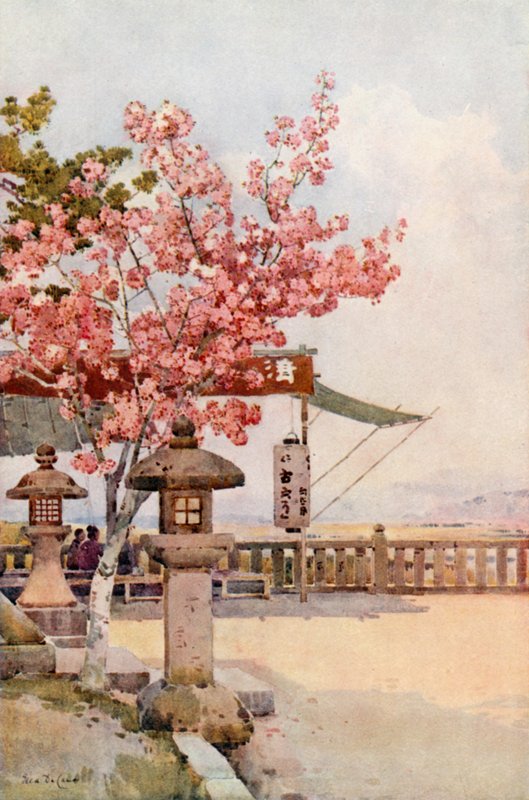 A Cereja Cor-de-Rosa (cor litho) de Ella Du Cane