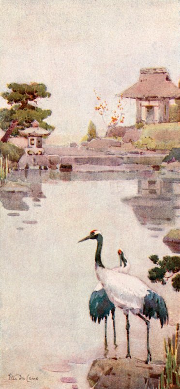 As Cegonhas (cor litho) de Ella Du Cane