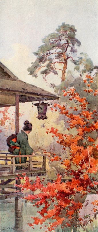 Ver os Maples (cor litho) de Ella Du Cane