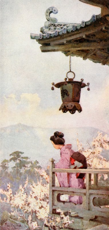 Ver as Flores de Ameixa (cor litho) de Ella Du Cane