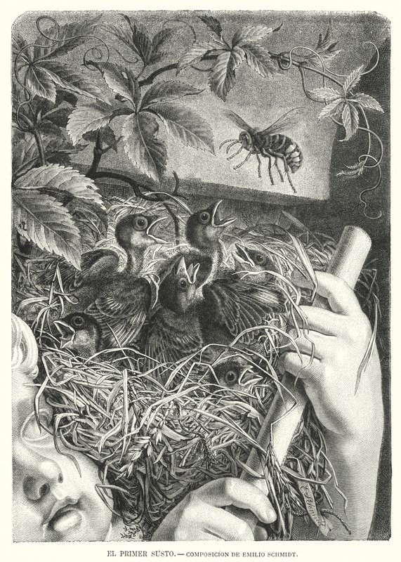 O Primeiro susto (litho) de Emil (after) Schmidt
