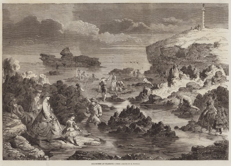 Camarão em Biarritz de Emile Antoine Bayard