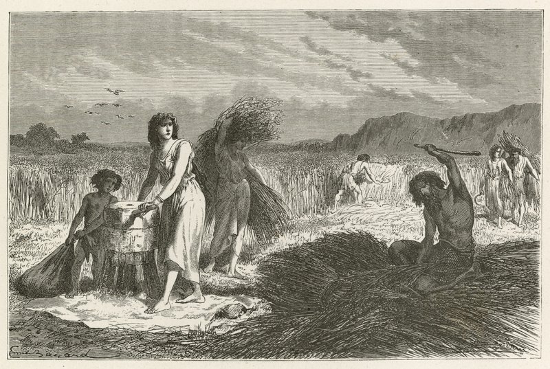 Agricultura na hora de fazer de Emile Antoine Bayard