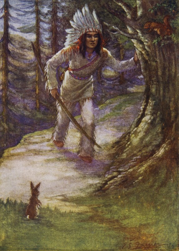 Não atire em nós, Hiawatha de Emily Farmer