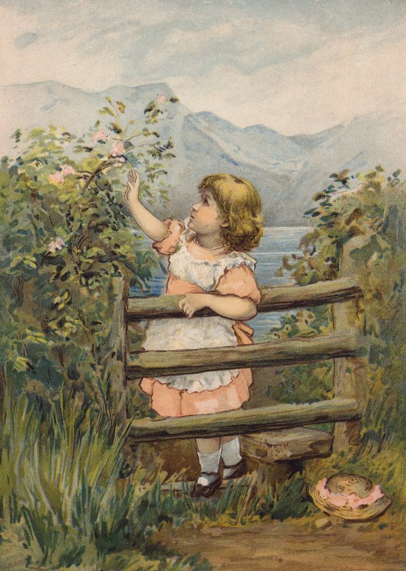 Rapariga a esticar a mão para apanhar uma flor (cromolitho) de Emily Jane Harding Andrews