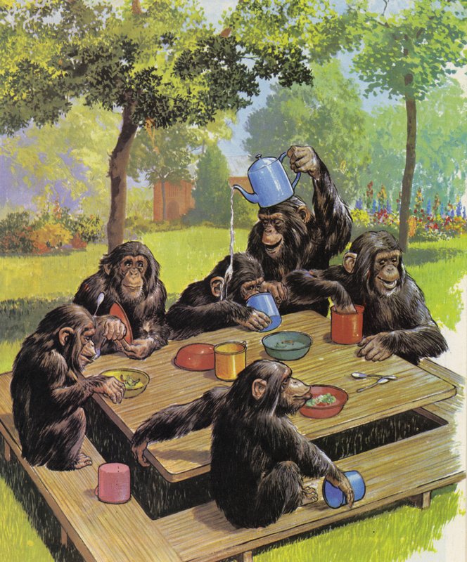 Chimpanzés no zoológico de English School