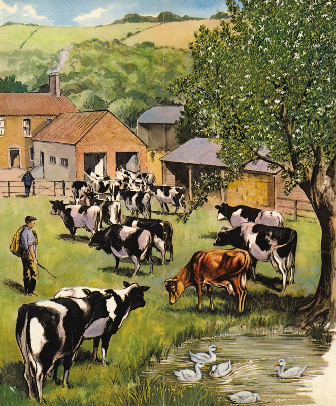Fazenda leiteira, inglaterra, década de 1960 de English School