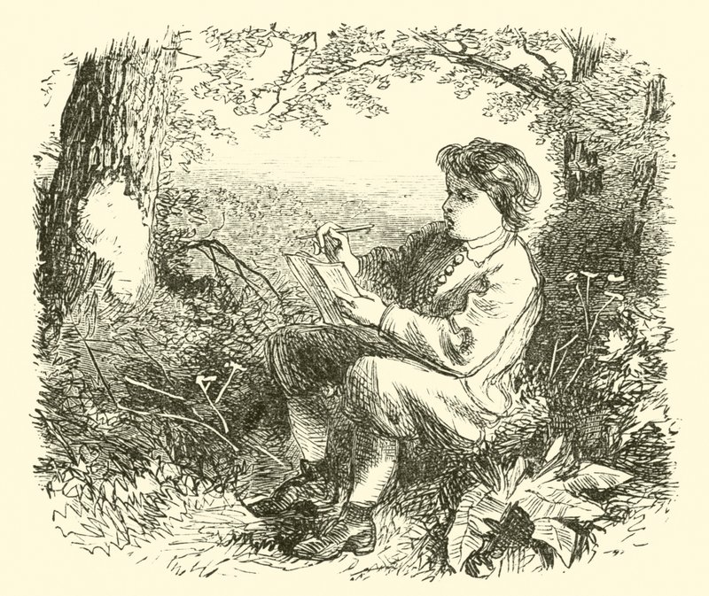 David Wilkie, o menino, estudando da natureza de English School