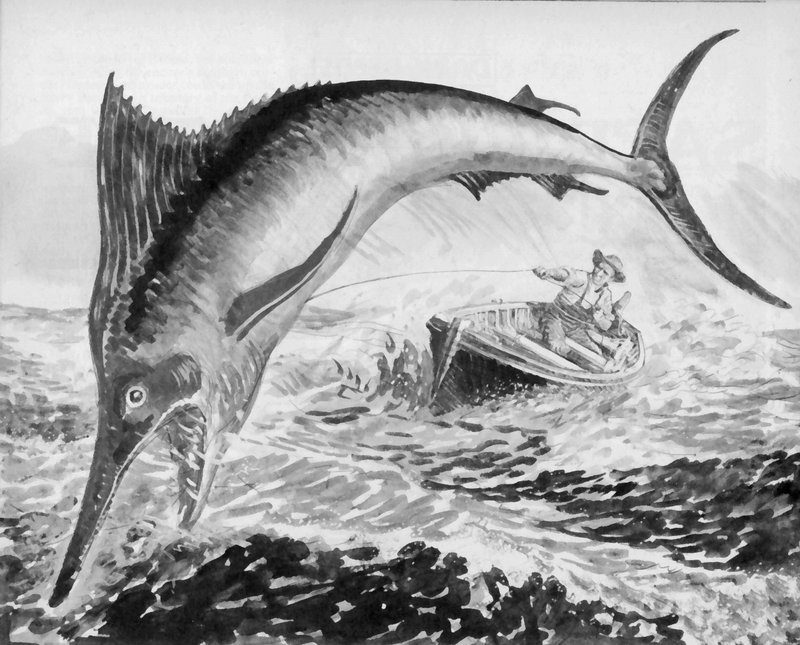 Ernest Hemingway, o velho e o mar de English School