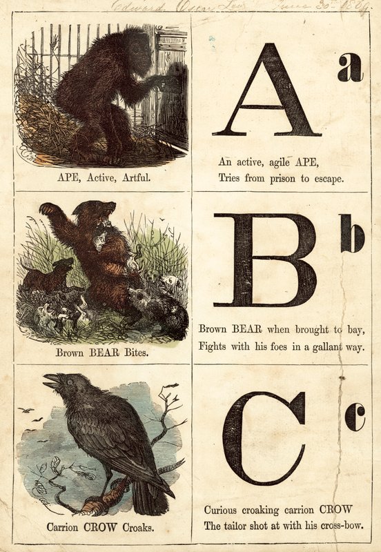 Alfabeto Imagem de English School