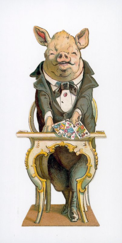 Porco, segurando, cartas de jogar de English School