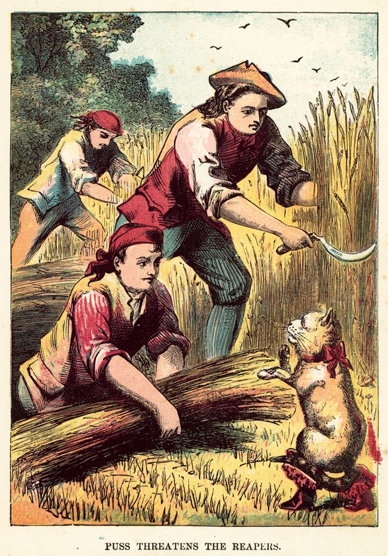 Puss ameaça os ceifadores de English School