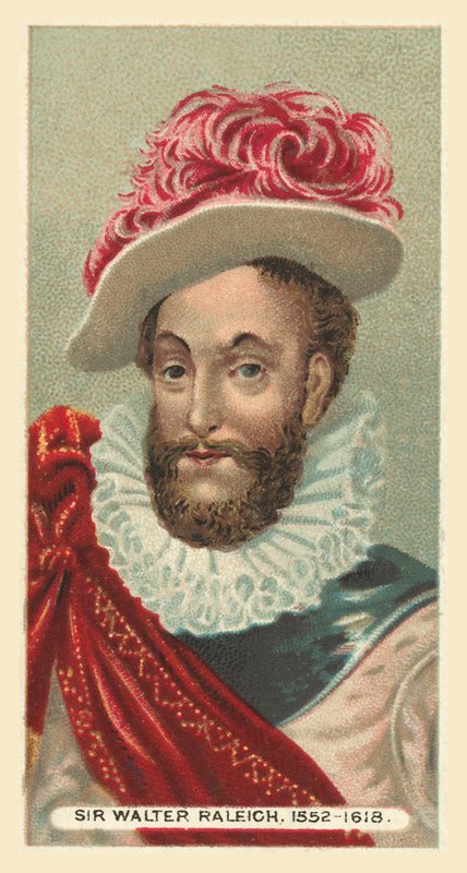 Sir Walter Raleigh, 1552-1618 de English School