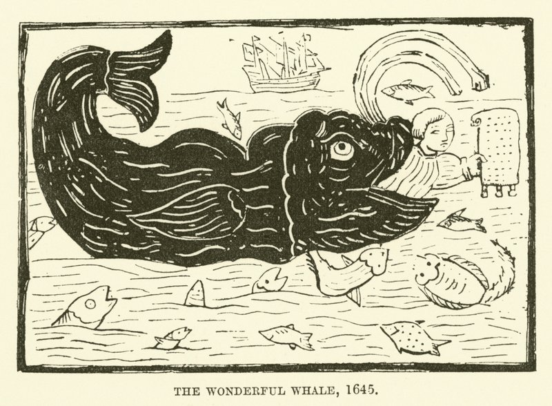 A maravilhosa baleia, 1645 de English School