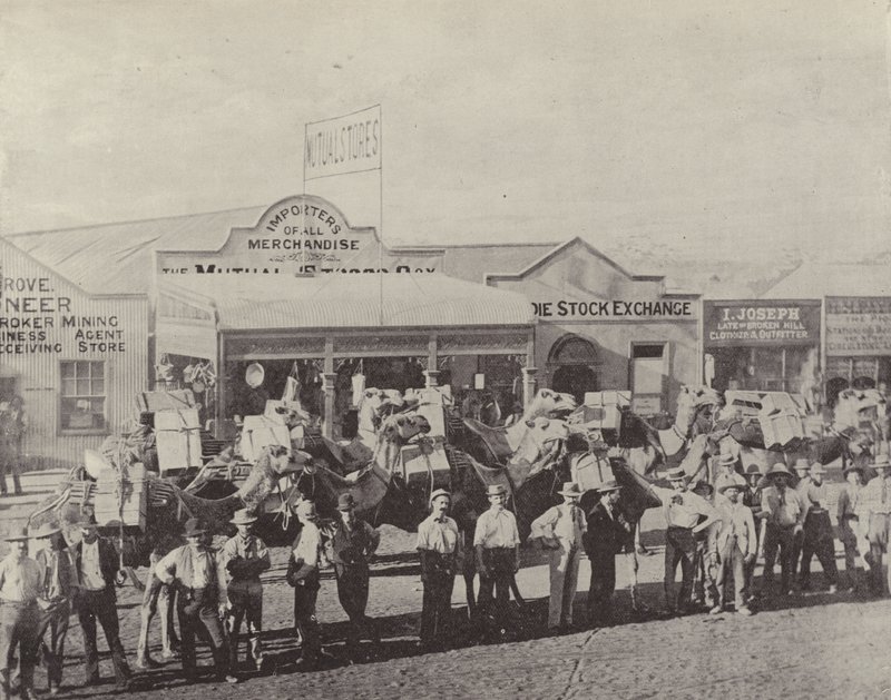Um trem do camelo, Coolgardie, Austrália Ocidental de English Photographer
