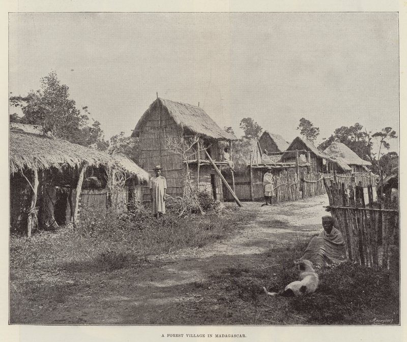 Uma vila florestal em Madagascar de English Photographer