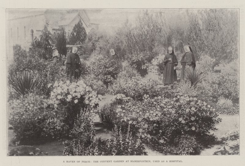 Um paraíso da paz, o jardim do convento em Bloemfontein, usado como um hospital de English Photographer