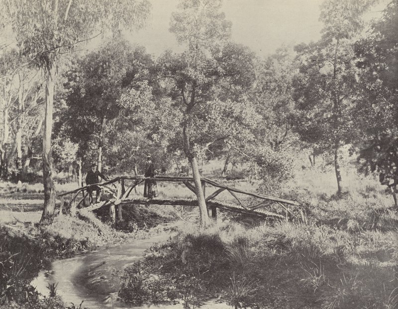 Uma ponte rústica, reserva de água de Ballarat de English Photographer