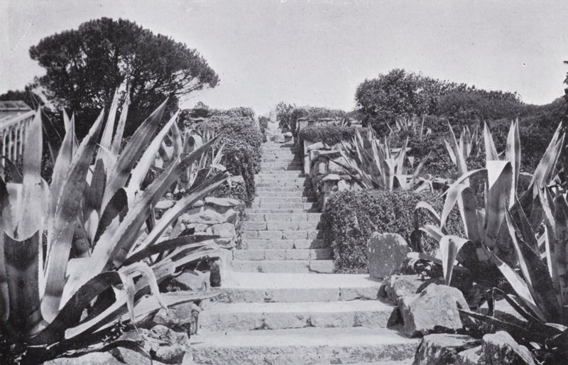 Um pouco nos Jardins em Tresco (foto a p/b) de English Photographer