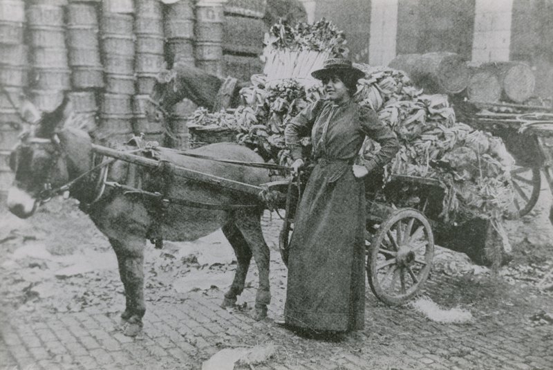 Um vendedor de flores de mulher de English Photographer