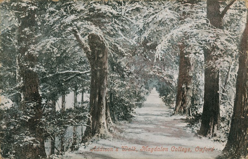 Addisons Walk, Magdalen College, Oxford. Postal enviado em 1913. de English Photographer
