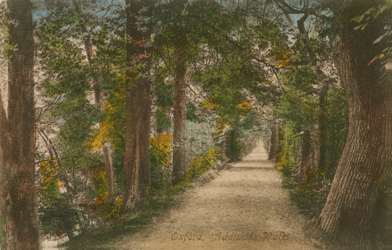 Addisons Walk, Oxford. Postal enviado em 1913. de English Photographer