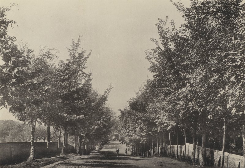 Aldeburgh, Westfields Avenue (foto a p/b) de English Photographer