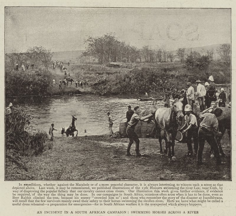 Um incidente em uma campanha sul-africana, nadando em cavalos em um rio de English Photographer