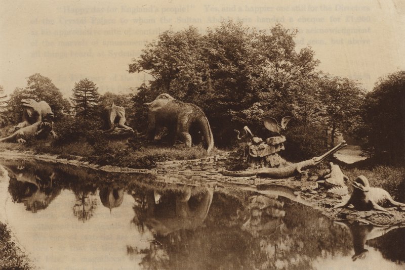 Animais Antediluvianos de English Photographer