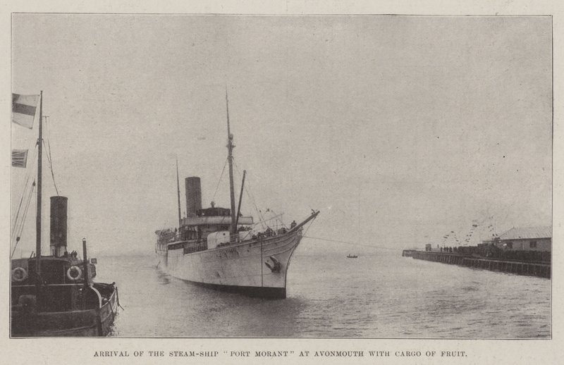 Chegada do navio a vapor Port Morant em Avonmouth com carga de frutas de English Photographer