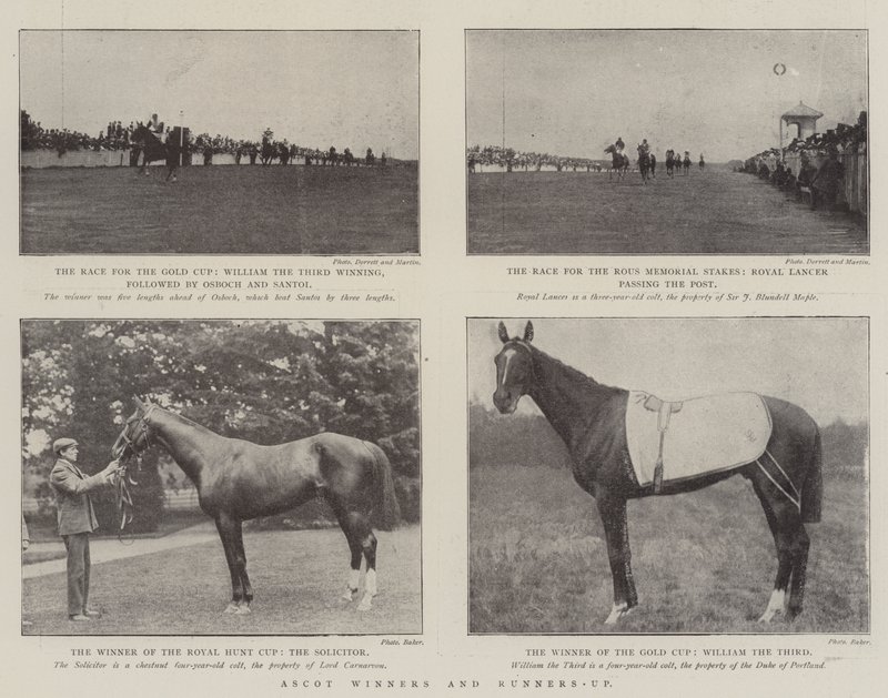 Vencedores e Vice-campeões da Ascot de English Photographer