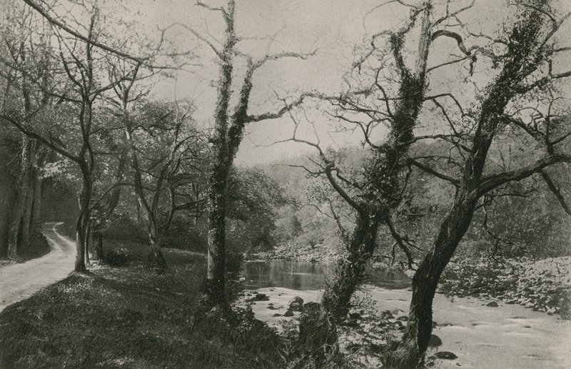 Bolton Woods de English Photographer