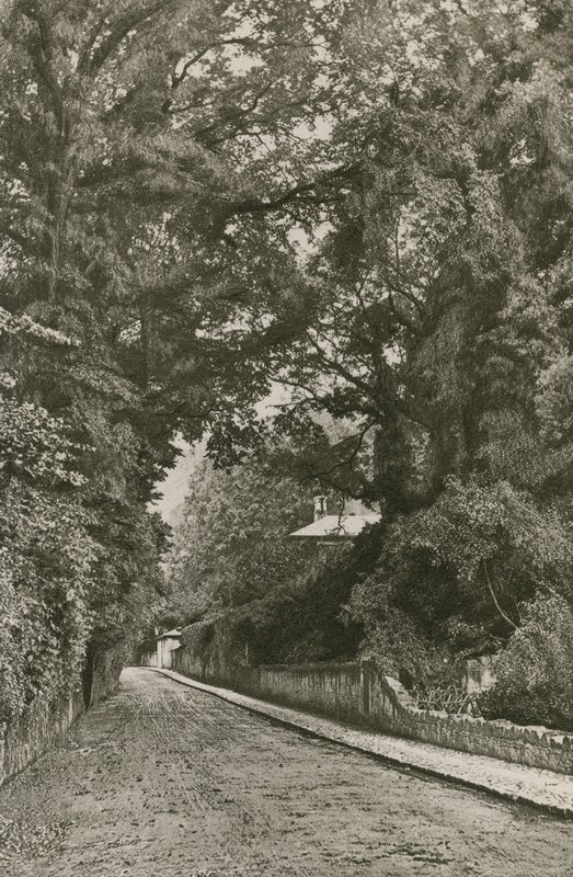 Bonchurch Road, Ilha de Wight de English Photographer