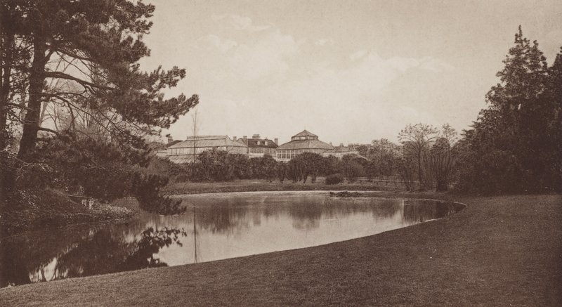 Botanic Gardens, Cambridge (foto a p/b) de English Photographer