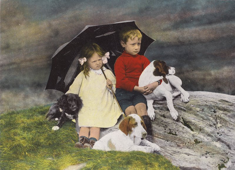 Rapaz e rapariga com três cães abrigados debaixo de um guarda-chuva (fotografia a cores) de English Photographer