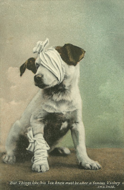 Mas coisas como esta sabem que deve ser depois de uma vitória famosa (foto colorida) de English Photographer