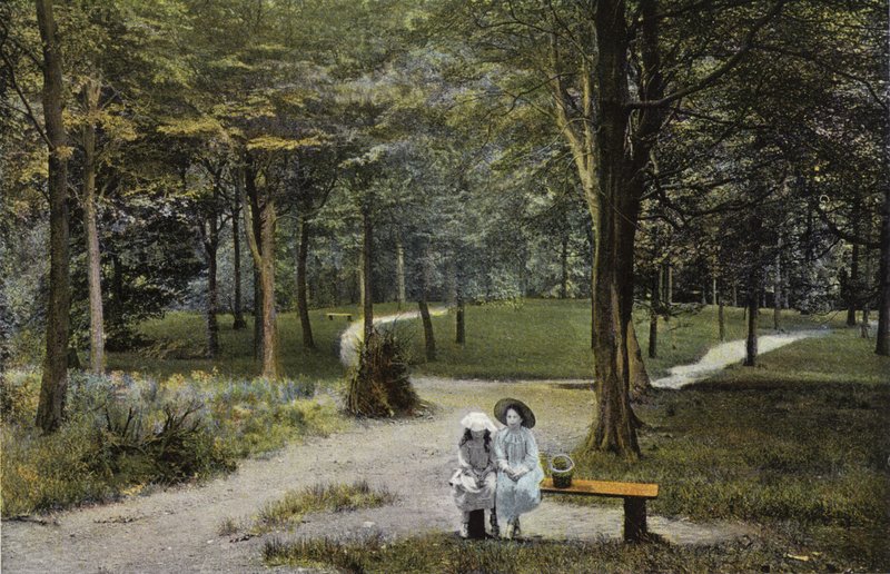 Buxton, Corbar Woods de English Photographer