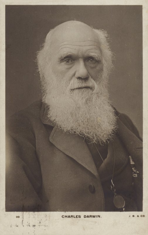 Charles Darwin (1809-1882), naturalista inglês de English Photographer