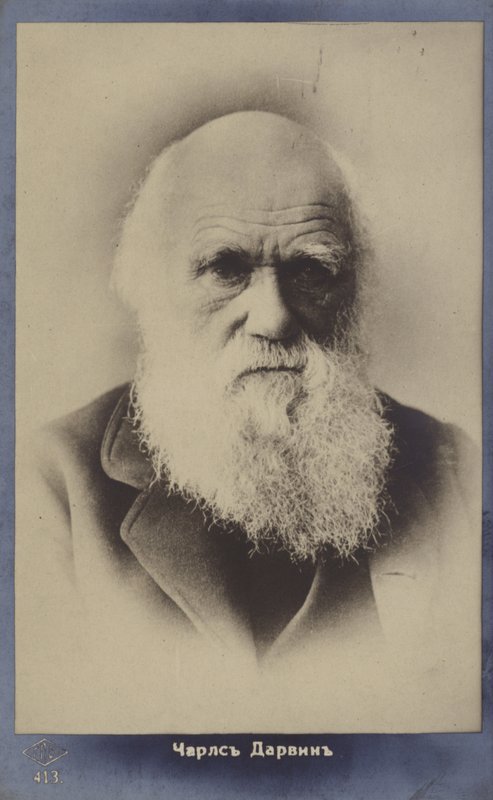 Charles Darwin (1809-1882), naturalista inglês de English Photographer