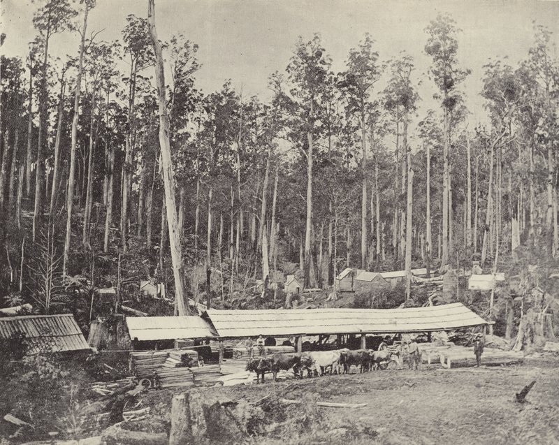 Serração de Childers, Gippsland de English Photographer