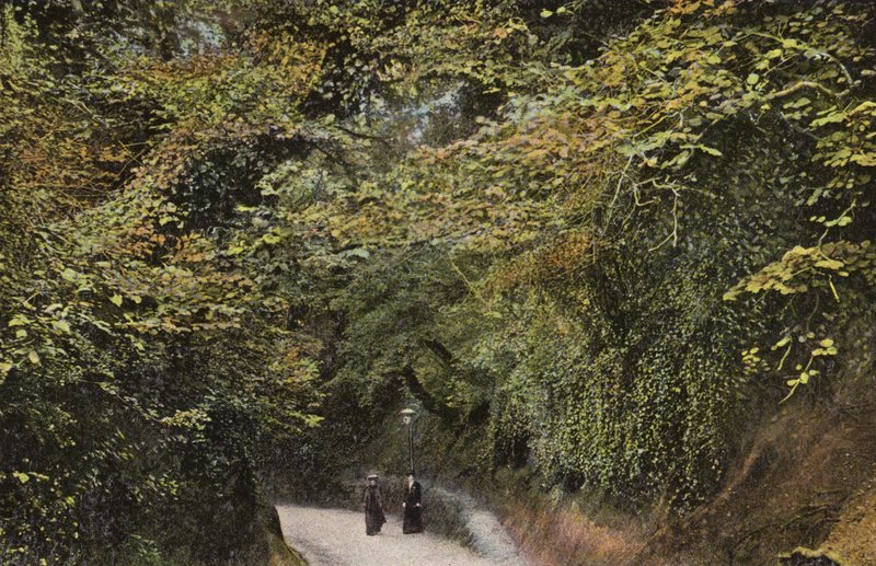 Chine Hollow, Shanklin de English Photographer