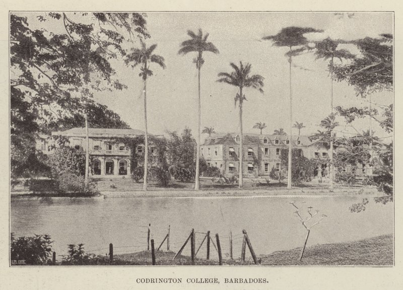 Faculdade de Codrington, Barbadoes de English Photographer
