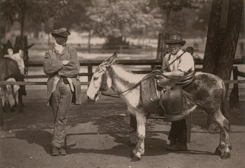 Passeios de burro em Clapham comum de English Photographer