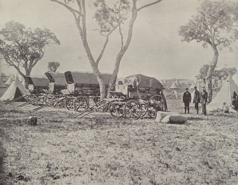 Engenheiros Camp, Langwarrin, Victoria de English Photographer