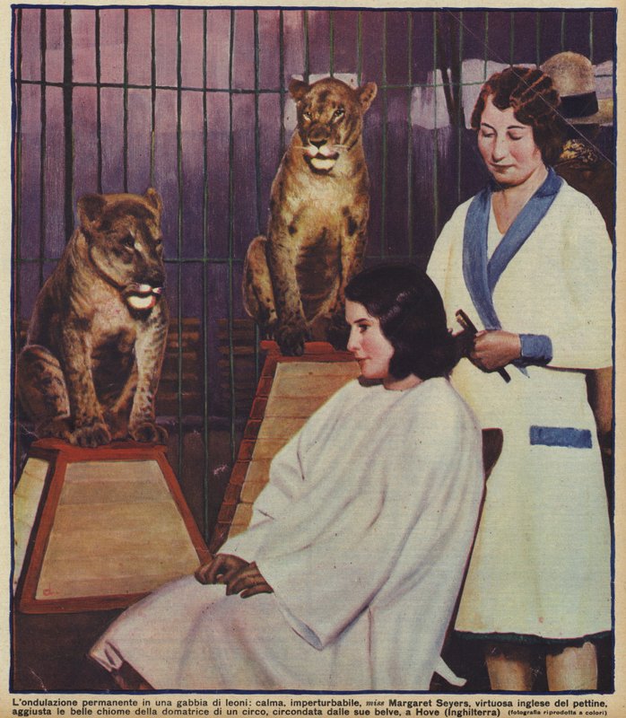 A cabeleireira inglesa Margaret Seyers fazendo calmamente o cabelo de uma domadora de leões de circo, observada pelos seus animais, Hove, Sussex (foto) de English Photographer