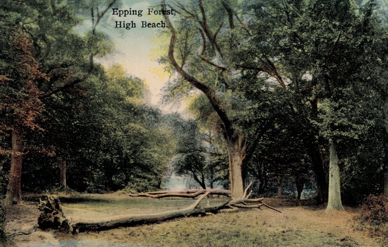 Epping Forest, High Beach (foto) de English Photographer