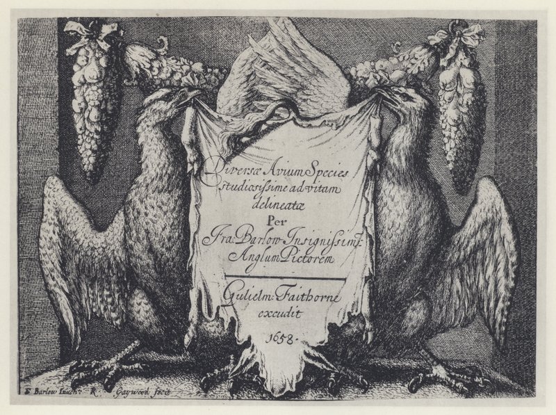 F Barlow, Diversae avium species, G Faithorne 1658 (foto a p/b) de English Photographer